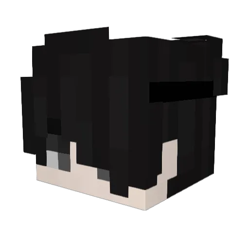 MadeYouReadThis_ Minecraft avatar head, 3D render