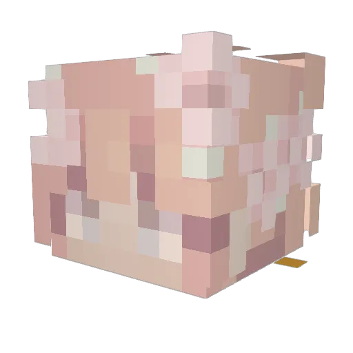 Madeline1009 Minecraft avatar head, 3D render