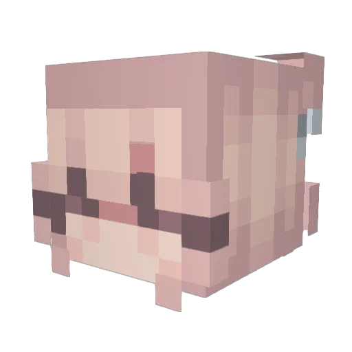 Madelyn19 Minecraft avatar head, 3D render