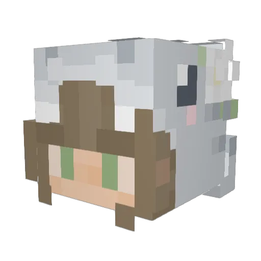 MadelynEmily Minecraft avatar head, 3D render