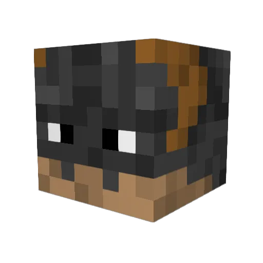 MadenLord04 Minecraft avatar head, 3D render