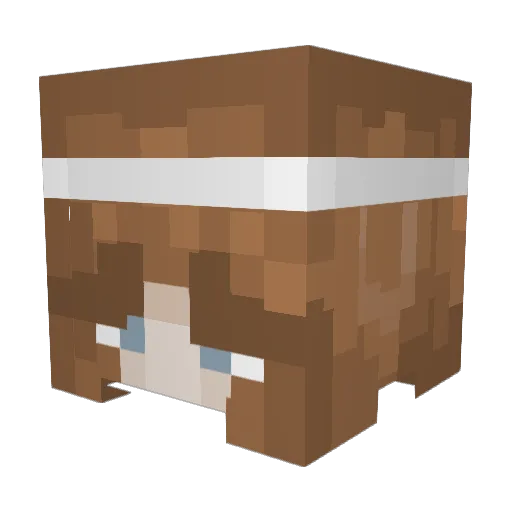 Madhexer Minecraft avatar head, 3D render
