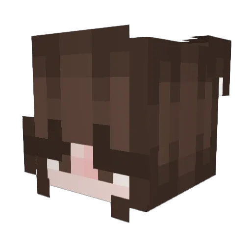 MadiLee2007 Minecraft avatar head, 3D render