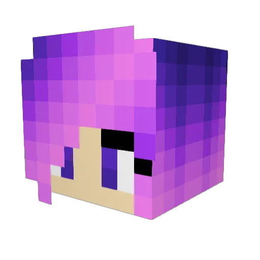 MadiPanda161 Minecraft avatar head, 3D render