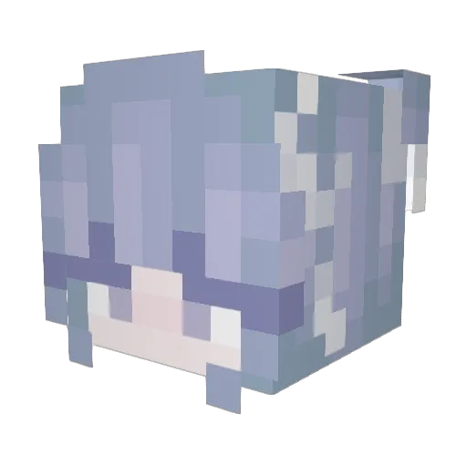 MadieRuth Minecraft avatar head, 3D render