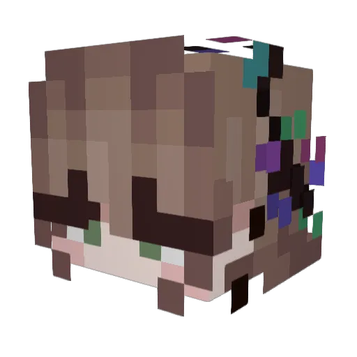 Madinewt1120 Minecraft avatar head, 3D render