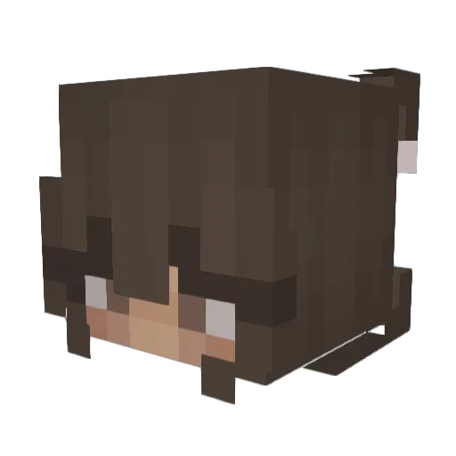 Madisee Minecraft avatar head, 3D render