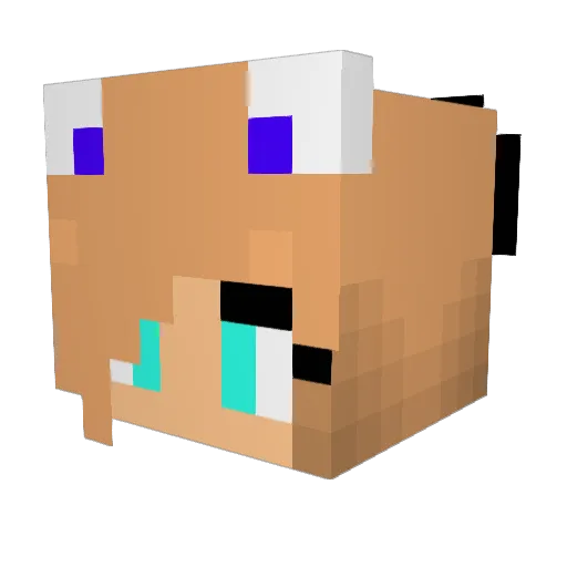 Madison1331 Minecraft avatar head, 3D render