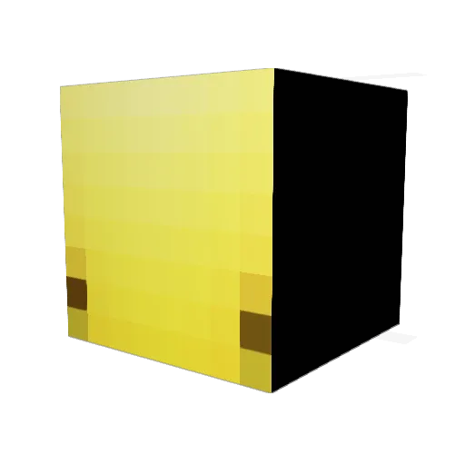 MadisonAllie Minecraft avatar head, 3D render
