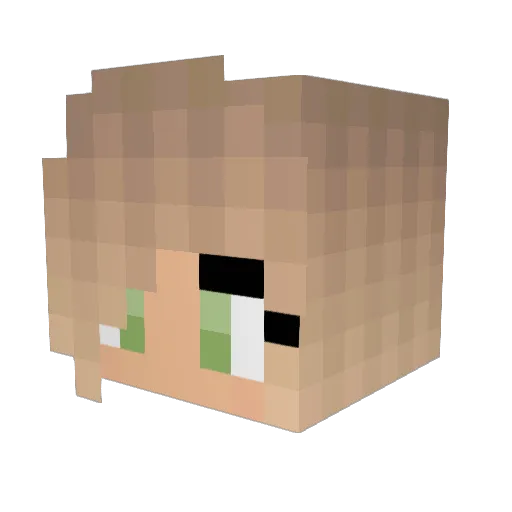 Madison_Feezel Minecraft avatar head, 3D render