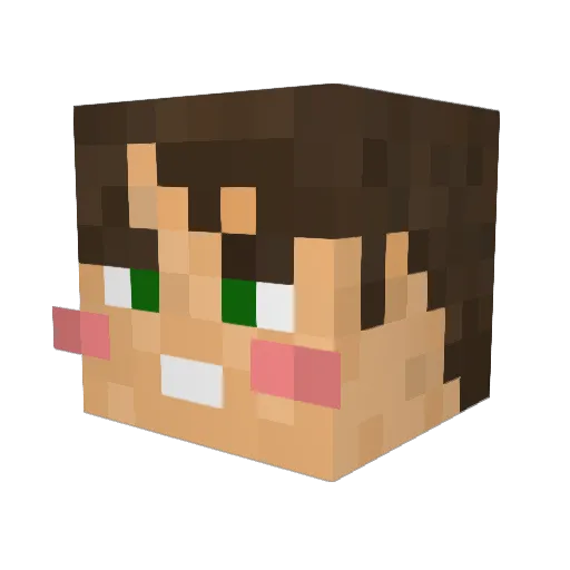 Maditartor Minecraft avatar head, 3D render