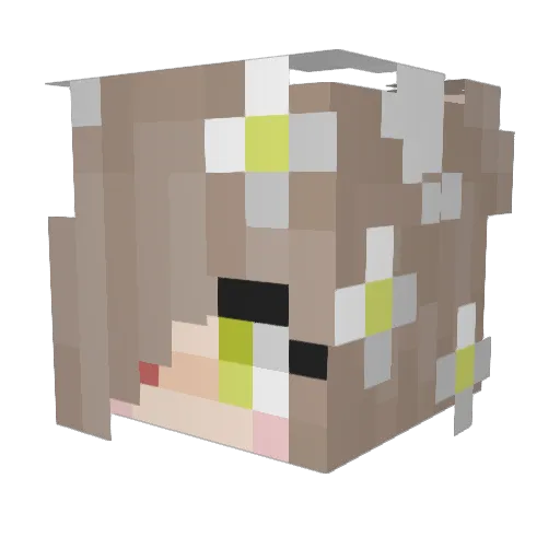 Madjoh Minecraft avatar head, 3D render