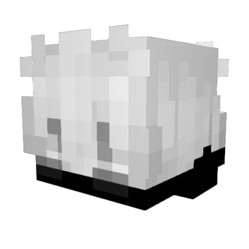 Madkiwi12 Minecraft avatar head, 3D render