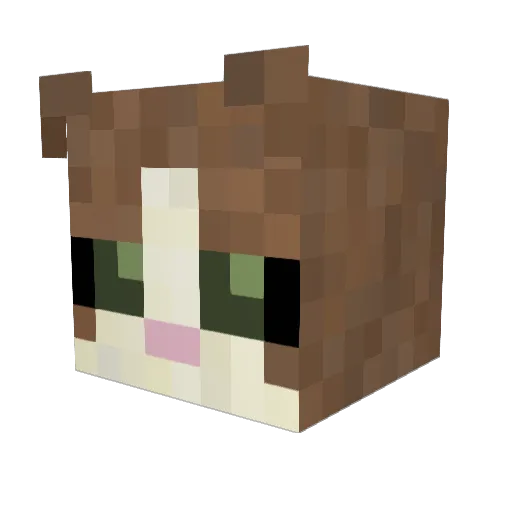 Madman201111 Minecraft avatar head, 3D render