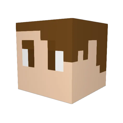 Madmax2518 Minecraft avatar head, 3D render