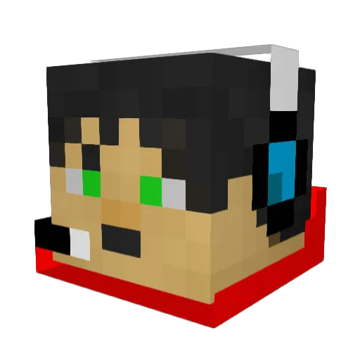Madn_JR Minecraft avatar head, 3D render