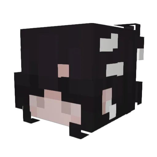 MadoriT Minecraft avatar head, 3D render
