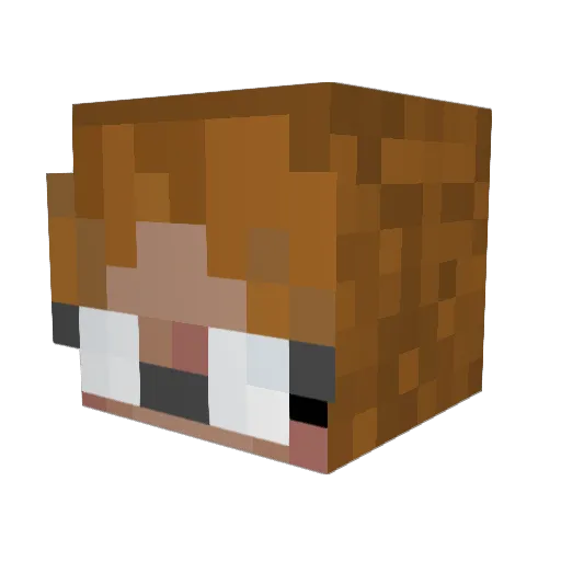 Madpyre Minecraft avatar head, 3D render