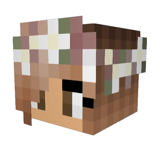 Madrainh2o Minecraft avatar head, 3D render