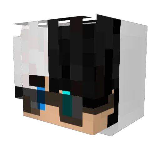 Madrick_Zio Minecraft avatar head, 3D render