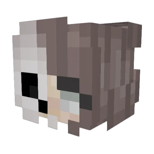 Mads4628 Minecraft avatar head, 3D render
