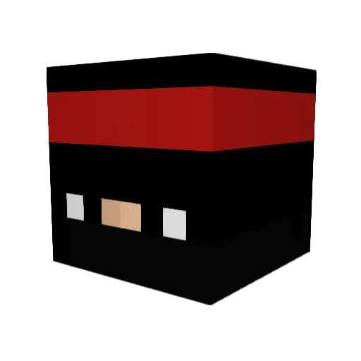 MadsHansen2004 Minecraft avatar head, 3D render