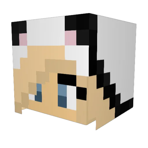 MadsRose358 Minecraft avatar head, 3D render