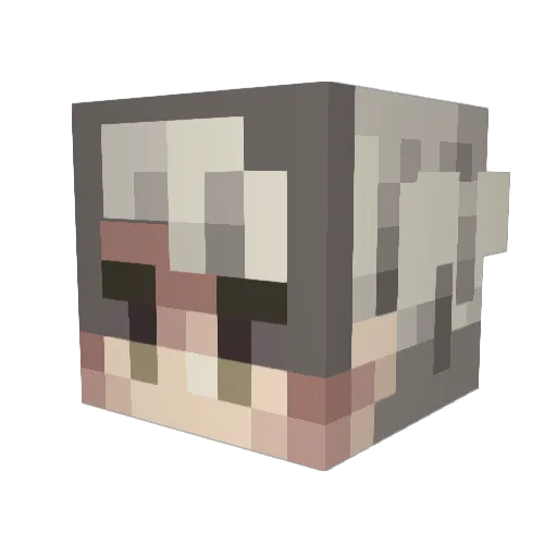 Madski1lz Minecraft avatar head, 3D render