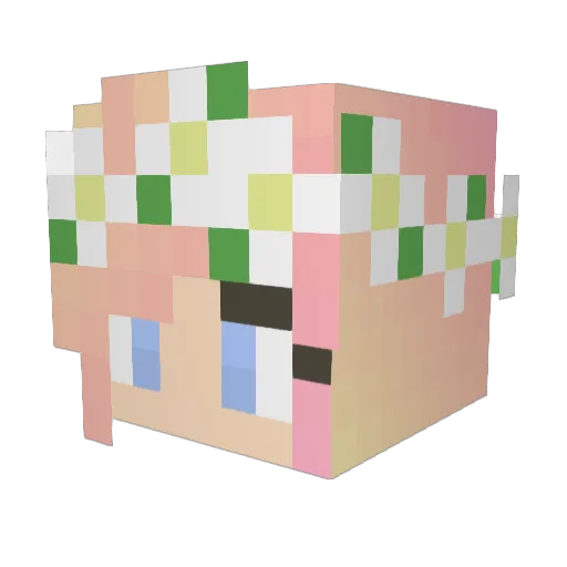 Madsters11 Minecraft avatar head, 3D render