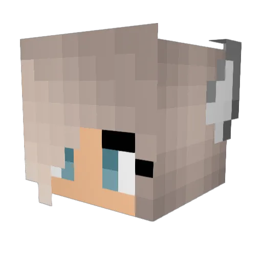 Madz891 Minecraft avatar head, 3D render