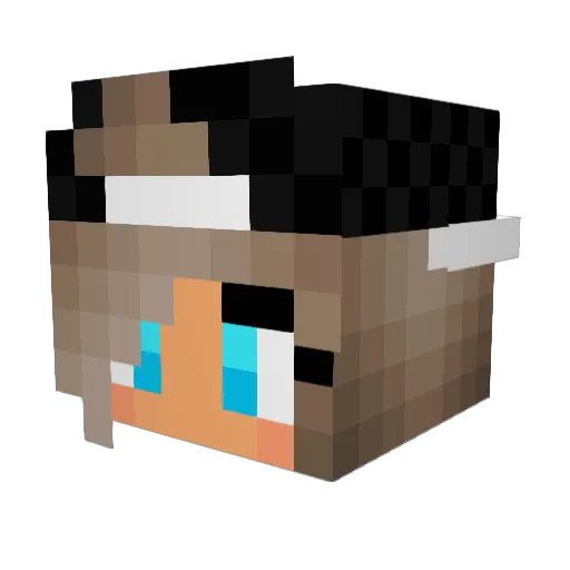 MadzGaming24 Minecraft avatar head, 3D render