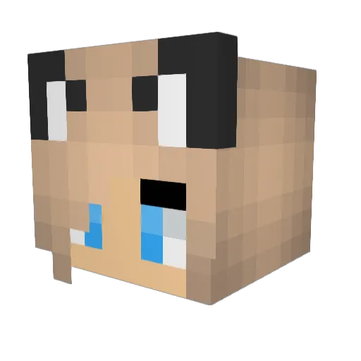 Madzz723 Minecraft avatar head, 3D render