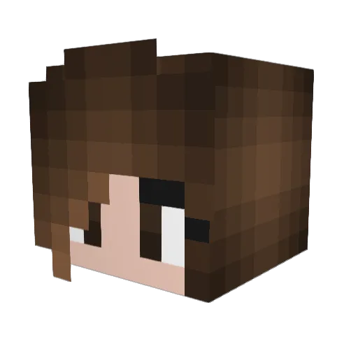 MaeFlower77 Minecraft avatar head, 3D render