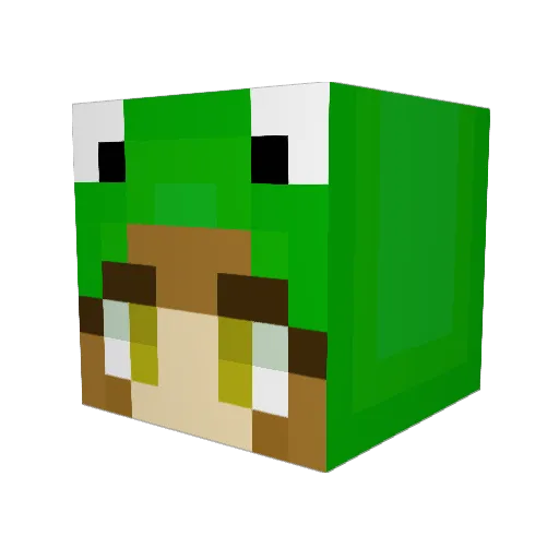 MaeKamalani Minecraft avatar head, 3D render