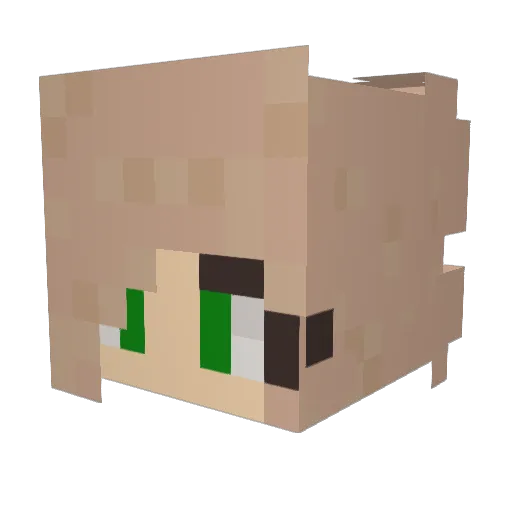 Maecie2011 Minecraft avatar head, 3D render