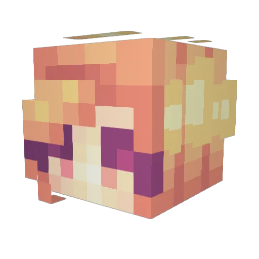 Maelsae Minecraft avatar head, 3D render