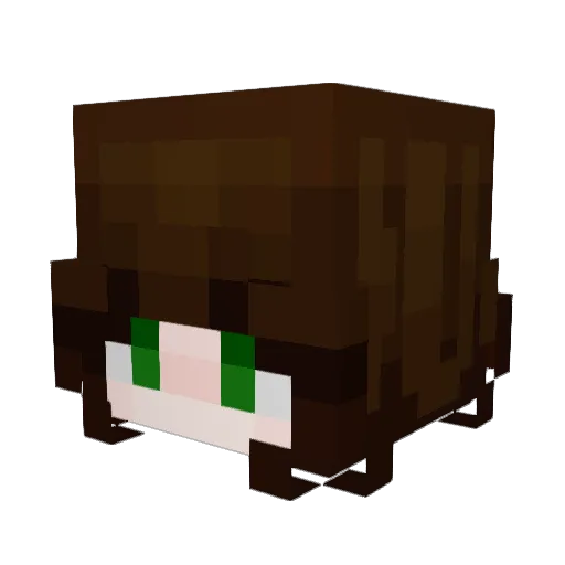 MaennaiseXD Minecraft avatar head, 3D render