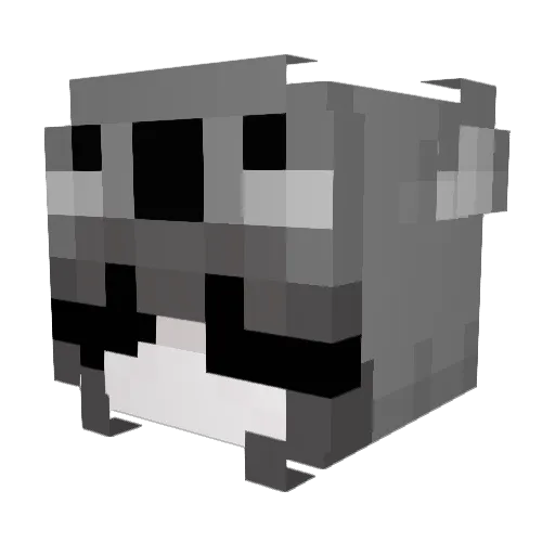 MaesMeow Minecraft avatar head, 3D render