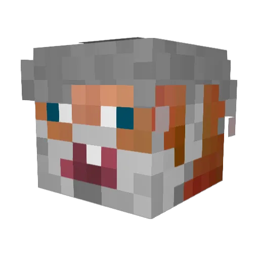 MaeseFungi Minecraft avatar head, 3D render