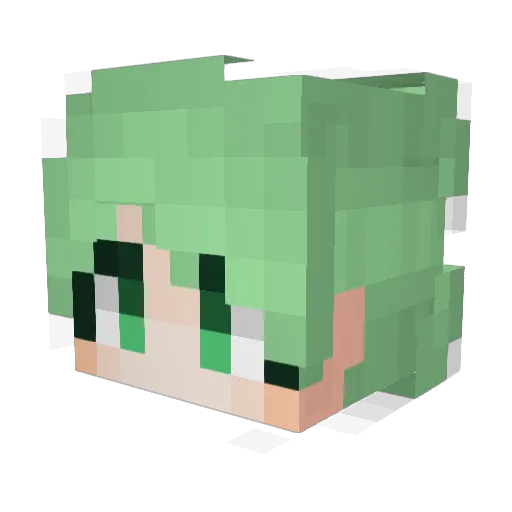 Maesil123 Minecraft avatar head, 3D render