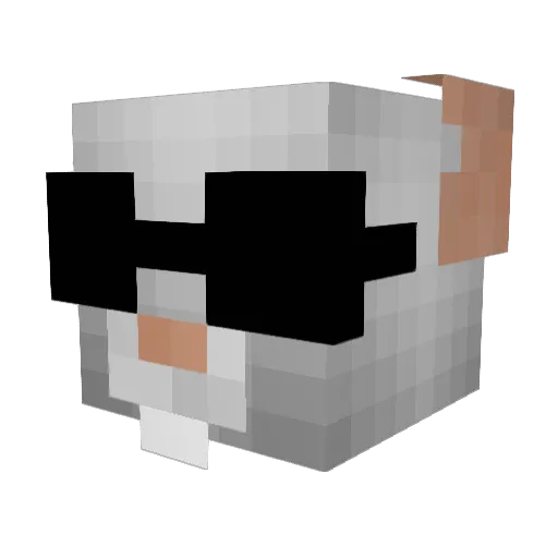 MaestroJudio Minecraft avatar head, 3D render