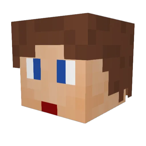 Maett_ Minecraft avatar head, 3D render
