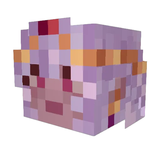 Maeveyn Minecraft avatar head, 3D render