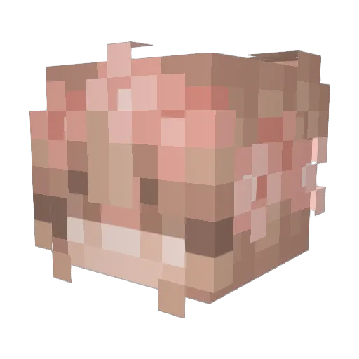 Mafeer_ Minecraft avatar head, 3D render