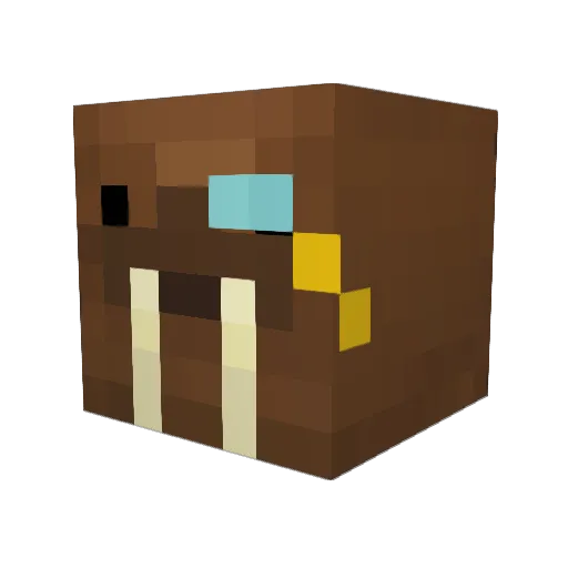 Mafli12 Minecraft avatar head, 3D render