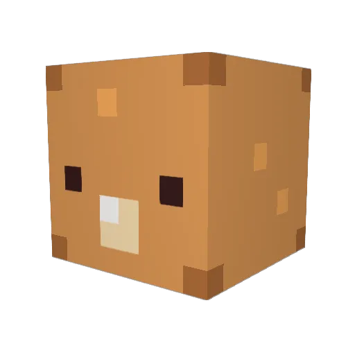 Mag1c69 Minecraft avatar head, 3D render