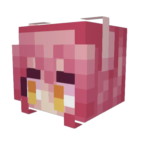 MagYuuri Minecraft avatar head, 3D render