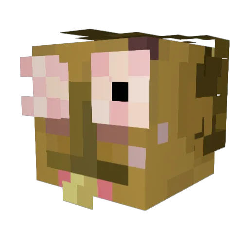 MagZ0101 Minecraft avatar head, 3D render