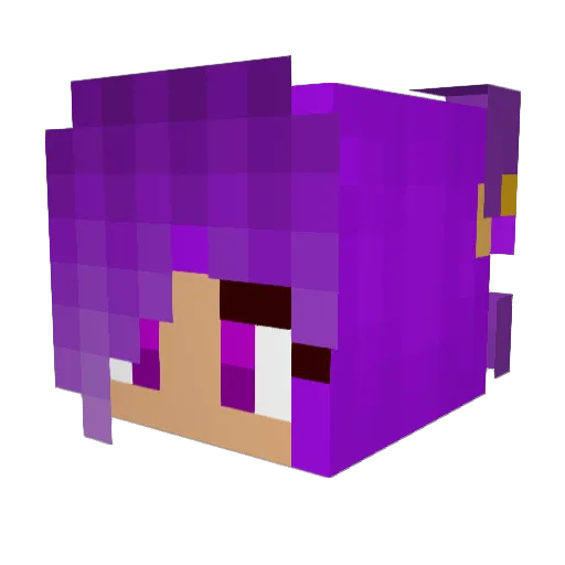 Mag_FRZ Minecraft avatar head, 3D render