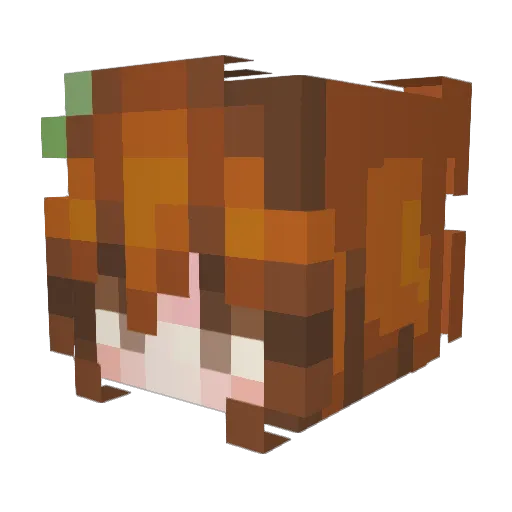 MagdaPlu Minecraft avatar head, 3D render